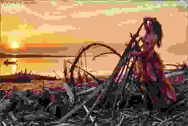The Sea Giveth II
