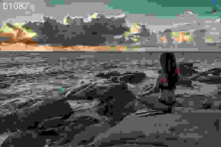 Fin