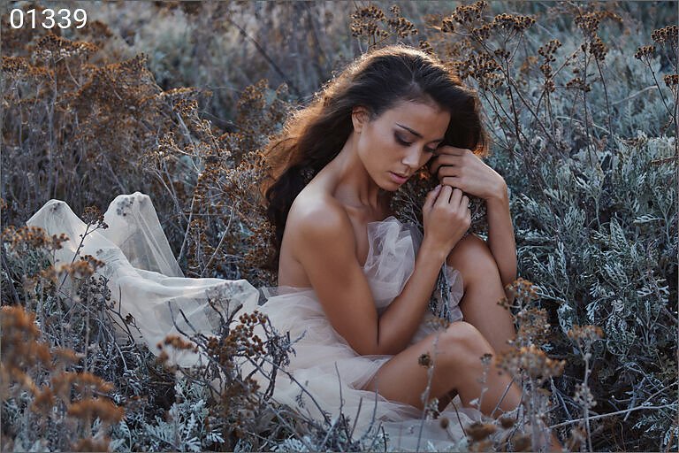 Serene V