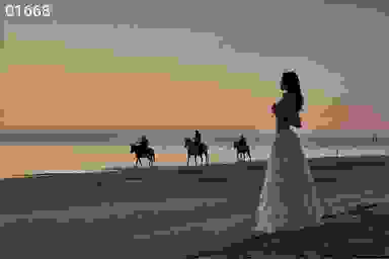The Reservation XXIX