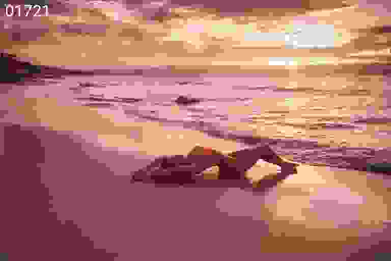 Reef IX
